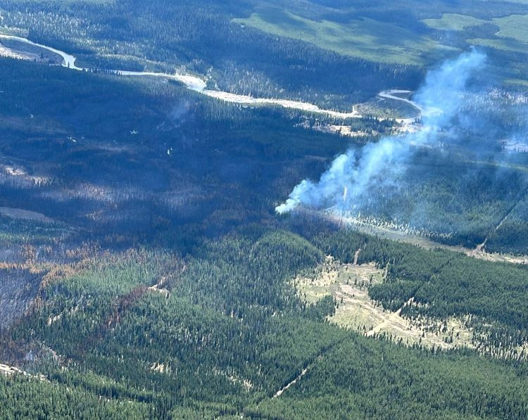 Mercoal Creek Wildfire